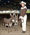 2004 Champion Best Matched Pair - My World Paco and My World Diablo - Mini Acres